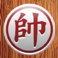 《塞尔达传说 王国之泪》驿站在哪里大全